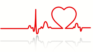 Fetal Heartbeat Bills Still Trendy in 2013, If Wyoming Is Any Indication
